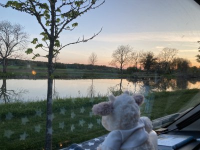 IMG_0080.jpeg
