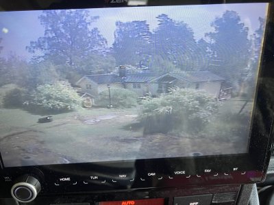 IMG_6377.jpeg IMG_6377.jpeg