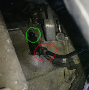 _20240529_112058.JPG _20240529_112058.JPG