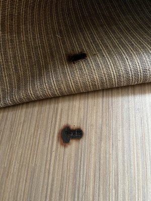 IMG_2163.jpeg IMG_2163.jpeg