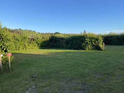 IMG_4829.jpeg IMG_4829.jpeg