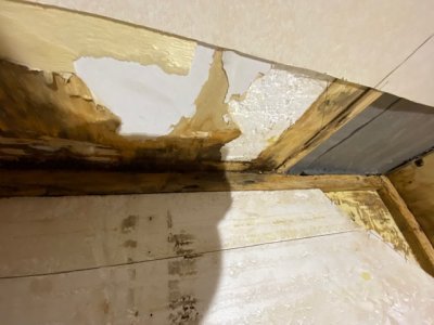 20211103_094651409_iOS.jpg 20211103_094651409_iOS.jpg