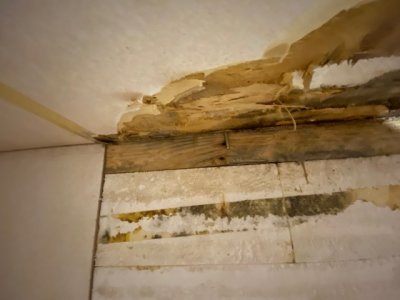 20211103_094641261_iOS.jpg 20211103_094641261_iOS.jpg