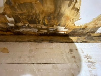 20211103_094649052_iOS.jpg 20211103_094649052_iOS.jpg