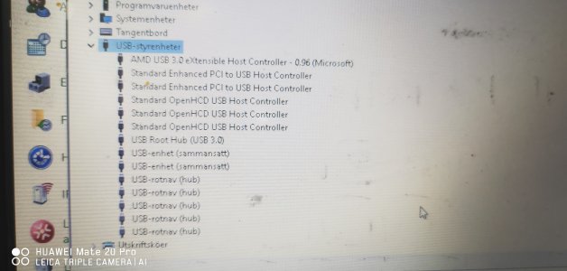 IMG_20240803_095405.jpg IMG_20240803_095405.jpg