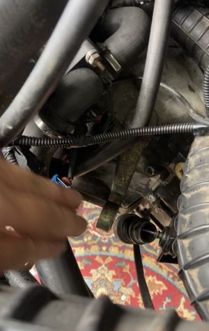 7CE6C729-7D85-4366-AD26-6E361529E278.jpeg 7CE6C729-7D85-4366-AD26-6E361529E278.jpeg