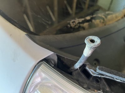 IMG_3668.jpeg IMG_3668.jpeg