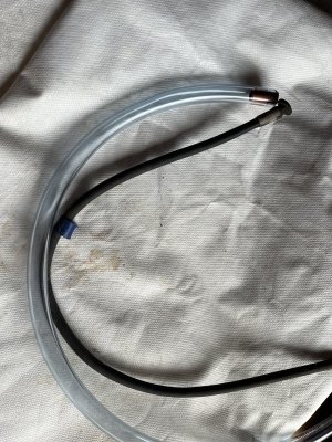 IMG_3695.jpeg IMG_3695.jpeg