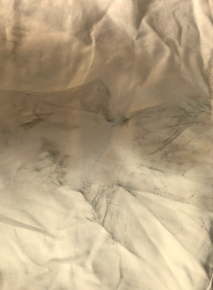 1000000360.png 1000000360.png