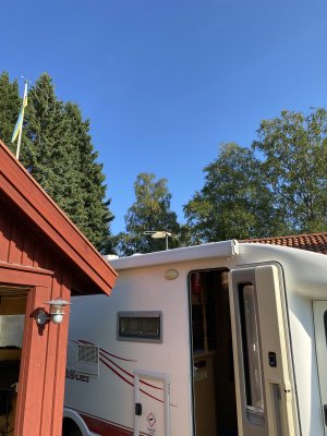 IMG_3480.jpeg IMG_3480.jpeg