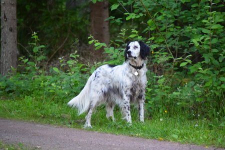 DSC_0881.JPG DSC_0881.JPG