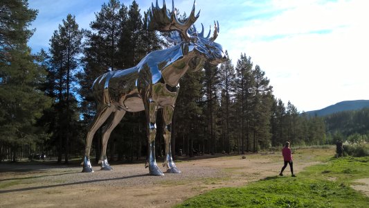 WP_20240901_16_32_36_Pro.jpg WP_20240901_16_32_36_Pro.jpg