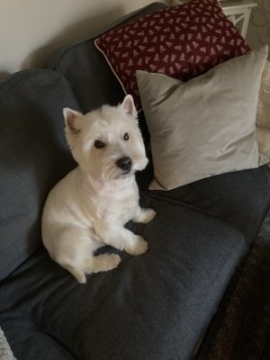 IMG_0012.jpeg IMG_0012.jpeg