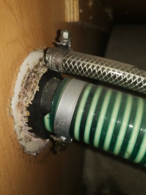 IMG_20240927_122434.jpg IMG_20240927_122434.jpg