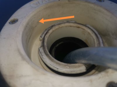 IMG_20240927_122444_edit_30667968042194.jpg IMG_20240927_122444_edit_30667968042194.jpg