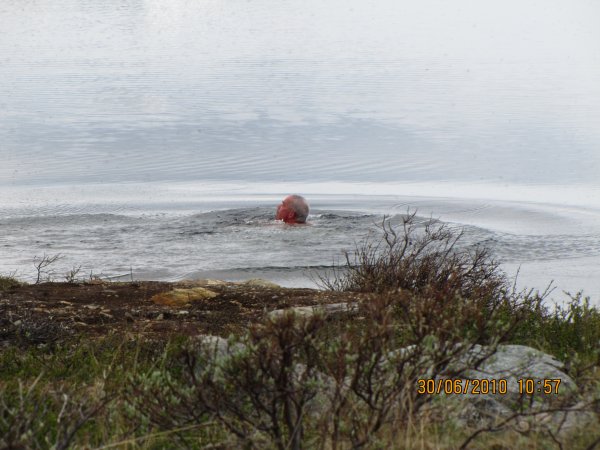 IMG_0577.JPG IMG_0577.JPG