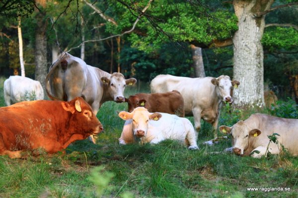 kjlkjlkjlkjjjjjjjjjjjjjjjjjjjjjjjjjjjjjjjjjjjjjjjjj 050.JPG