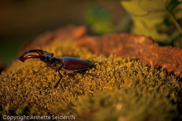 DSC_9120.jpg DSC_9120.jpg