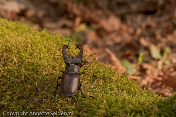 DSC_9271.jpg DSC_9271.jpg