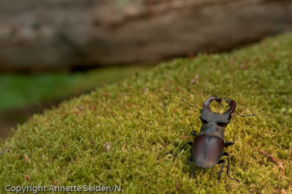 DSC_9339.jpg DSC_9339.jpg