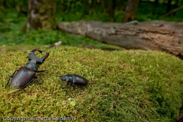 DSC_9362.jpg DSC_9362.jpg