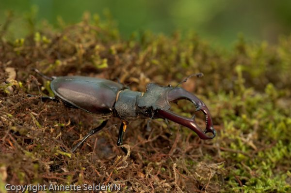 DSC_9421.jpg DSC_9421.jpg