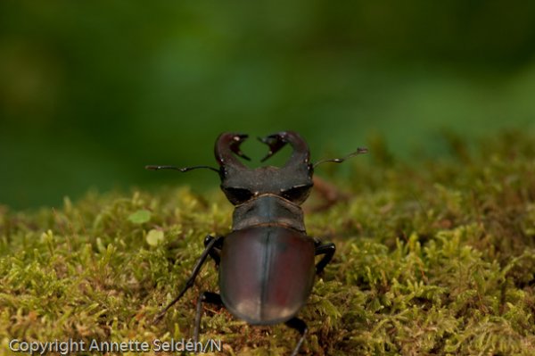 DSC_9423.jpg DSC_9423.jpg