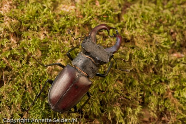 DSC_9424.jpg DSC_9424.jpg