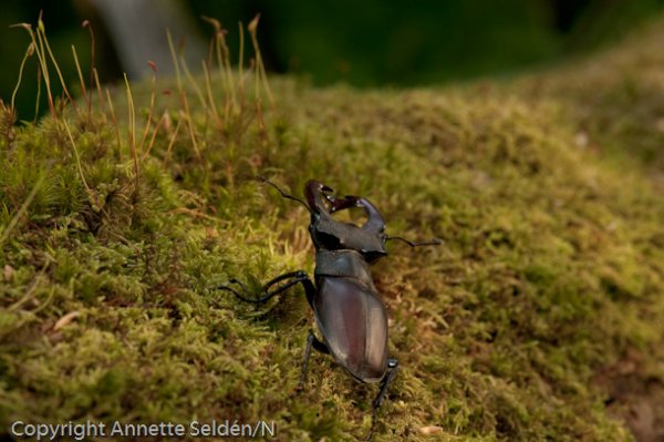 DSC_9447.jpg DSC_9447.jpg