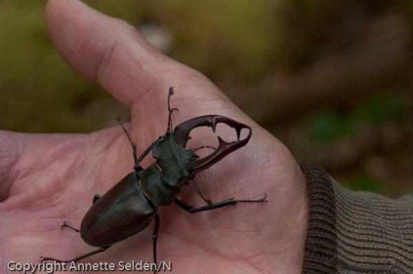 DSC_9457.jpg DSC_9457.jpg