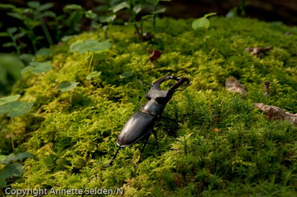 DSC_9466.jpg DSC_9466.jpg