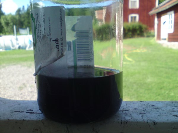 Diesel i bränslefiter.JPG