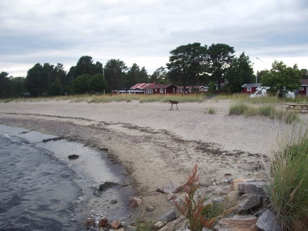 Sörfjärden 1 aug 2010.JPG Sörfjärden 1 aug 2010.JPG