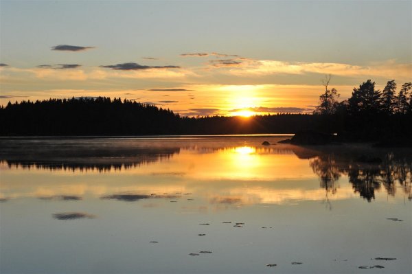 DSC_5565 (Large).JPG