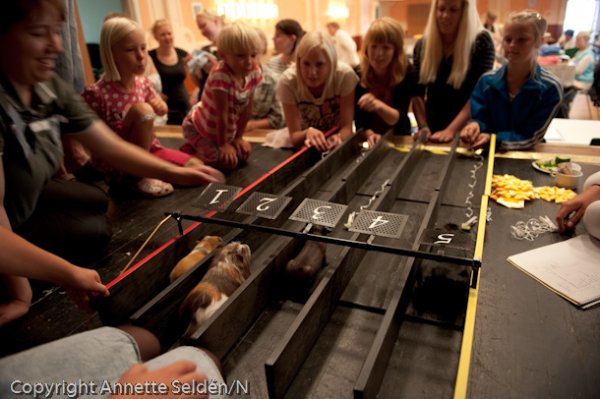 20100807.003.jpg 20100807.003.jpg