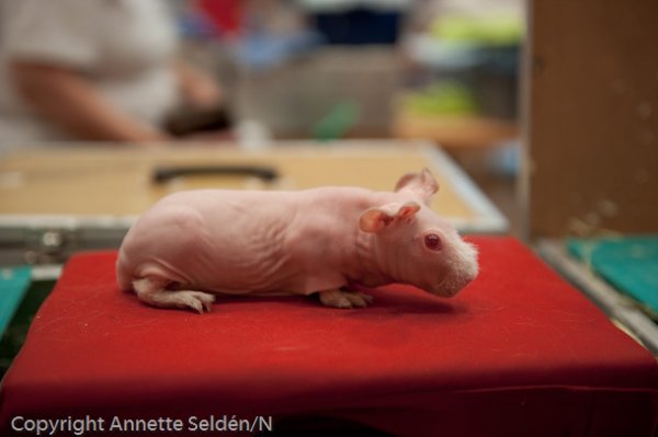 20100807.010.jpg 20100807.010.jpg