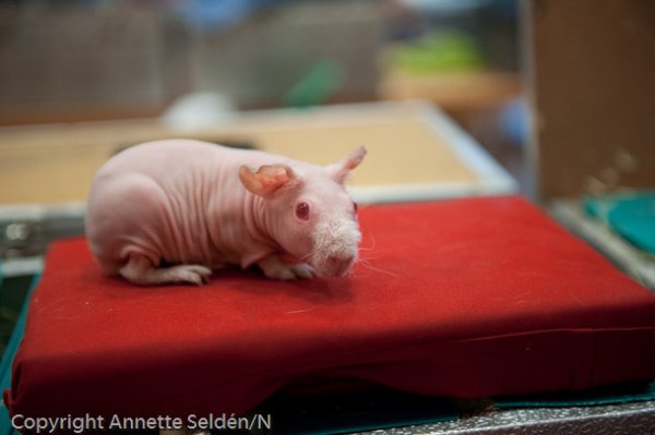 20100807.011.jpg 20100807.011.jpg