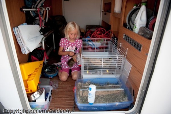 20100807.013.jpg 20100807.013.jpg