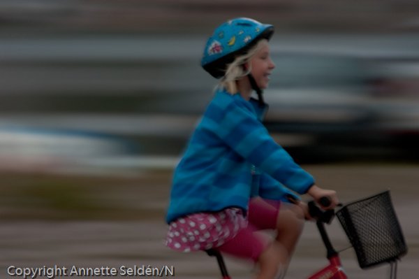 20100807.063.jpg 20100807.063.jpg