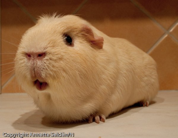 20100808.004.jpg 20100808.004.jpg