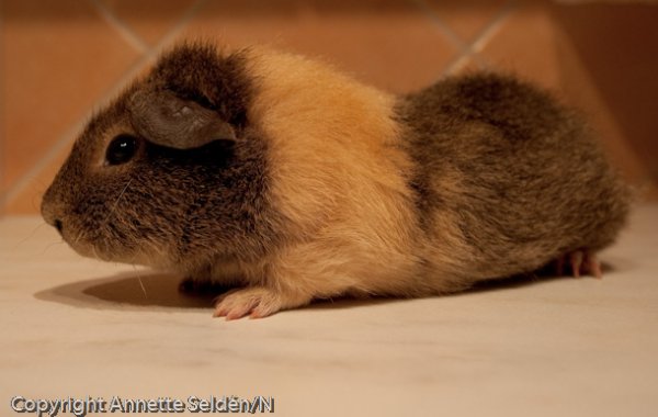 20100808.007.jpg 20100808.007.jpg