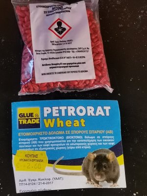 IMG_20241007_152904.jpg IMG_20241007_152904.jpg