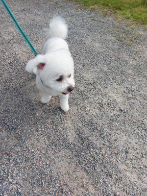 1728391661530.png 1728391661530.png