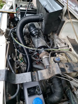 20241008_174502.jpg 20241008_174502.jpg