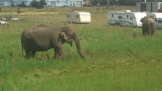 DSC_0001.jpg DSC_0001.jpg