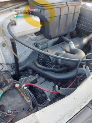 IMG_1734.jpeg IMG_1734.jpeg