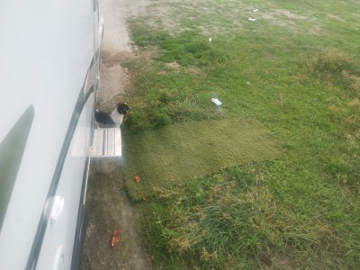 IMG_20241020_084057.jpg IMG_20241020_084057.jpg