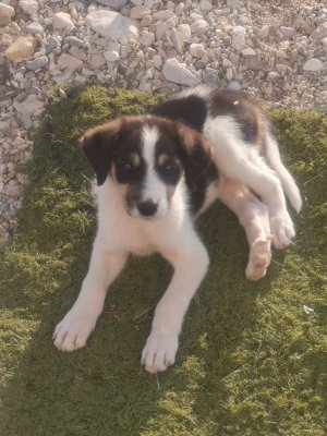 IMG_20241024_173402.jpg IMG_20241024_173402.jpg