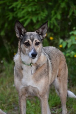 DSC_0886.JPG DSC_0886.JPG