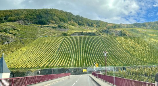 1729839580713.jpeg 1729839580713.jpeg